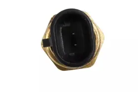 23154586 ACDELCO MEXICO COMMON Differential Temperature