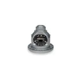 40031460 AMERICAN AXLE Differential Internal Gears