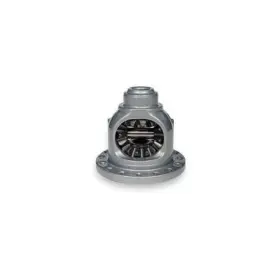 40146894 AMERICAN AXLE Differential Internal Gears