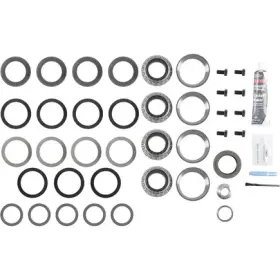 10038940 DANA Differential Rebuild Master Tapered Roller Kit #2