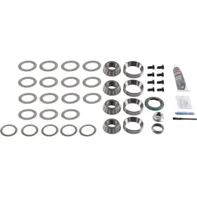 10038940 DANA Differential Rebuild Master Tapered Roller Kit
