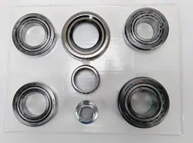 10040313 DANA Master Kit Jeep Wrangler