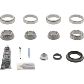 10043621 DANA Standard Differential Bearing Seal Kit