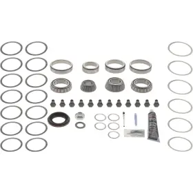 10043641 DANA Master Differential Bearing Kit
