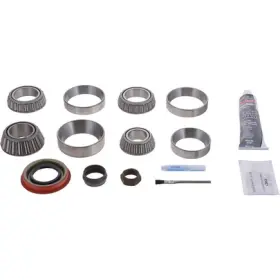 10024041 DANA HOLDING CORPORATION Standard Axle Differential