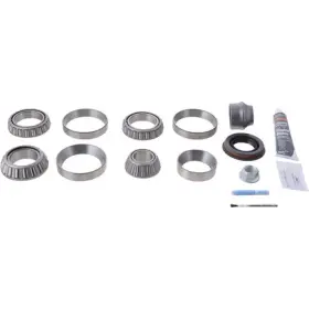 10038949 DANA HOLDING CORPORATION Standard Axle Differential