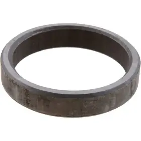 110792 DANA HOLDING CORPORATION Differential Pinion Shim