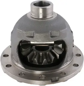 10012724 DANA SPICER Differential Carrier Fsgr