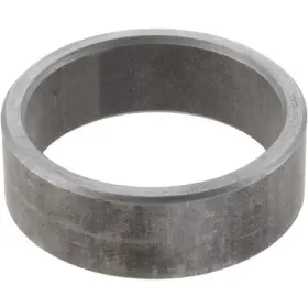 129120 DANA SPICER Differential Pinion Shim