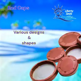 37X10EC-BX DICHTOMATIK End Caps Oil Seals Tc