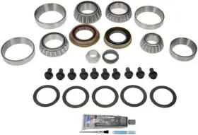 697-027 DORMAN OE SOLUTIONS Differential Bearing Kit