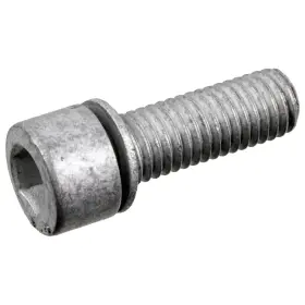 177755 FEBI Differential Drain Plug