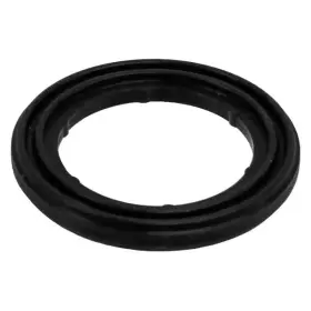 31507527999 Differential Cover Ring