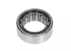 07451870 GM Front Differential Drive Pinion Gear Bearing