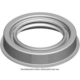 84811694 GM Pinion Seal