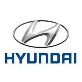 53050-3C000 HYUNDAI Pinion Seal