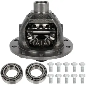 13302530 LUXFINEPARTS Differential Carrier Ring Gear Bolts