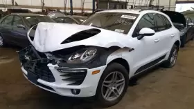 440-10054 PORSCHE Carrier Rear Torque Vectoring Macan