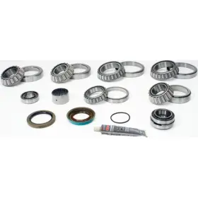 SDK223-F SKF Differential Rebuild Kit