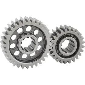 917950-21 SPEEDWAY MOTORS Gear Set