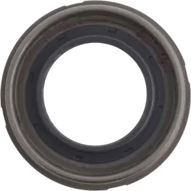 2004101 SPICER Differential Pinion Seal Fsgr