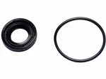 Steering Gear Input Shaft Seal Kit For 1997-1999 Dodge Dakota 4wd 1998 C541db. Fixed Price $22.35.