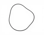 1997-2013 Corvette C5 C6 Rear Axle Diff Carrier Seal O-ring Oem Gm 89047953. Fixed Price $24.00.