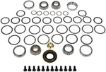 Differential Bearing Dorman (oe Solutions) 697-114. Fixed Price $208.11.