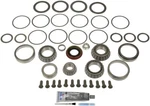Differential Bearing Dorman (oe Solutions) 697-031. Fixed Price $494.98.