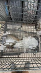2007-2009 Hyundai Santa Fe 2.7l Carrier / Differential Assembly. Fixed Price $400.02.