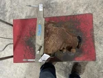 Ford Expedition 2016 Rear Differential Carrier Assembly 3.31 Ratio 5l1z4033a. Fixed Price $681.00.
