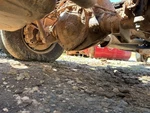 2015-2016 Gm 3500 6.6l Diesel Rear Wheel Axle Assembly, Cab & Chassis. Fixed Price $3900.00.