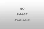 National 31520 Taper Bearing Cup. Fixed Price $19.95.