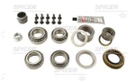 Dana/spicer 2017378 Differential Rebuild Kit. Fixed Price $204.47.