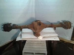 Used Rear Drive Axle Assembly Fits: 2006 Ford E250 Van Srw 9.75 Ring Gear. Fixed Price $754.99.