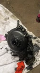 E2005379 Front Differential / 2682626 For Bmw X3 E83 Xdrive 20 D. Fixed Price $134.65.