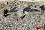 Rear Axle 4x2 Hex Cover 9.25" Ring Gear 3.55 Ratio Fits 03-04 Dakota. Fixed Price $425.00.