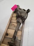 06-08 Ford F150 Pickup Carrier Front Axle 3.73 Ratio 6l3z3010aa. Fixed Price $269.18.