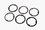 Differential Pinion Shim. Fixed Price $25.95.