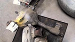 Used Differential Carrier Assembly Fits: 2005 Dodge Dakota Front 3.92 Ratio From. Fixed Price $549.49.