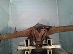 Used Rear Axle Assembly Fits: 1994 Toyota T100 4 Cylinder At 4.08 Ratio Rea. Fixed Price $623.49.