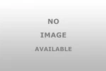 National 100552 Differential Pinion Seal. Fixed Price $10.47.