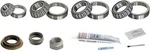 Axle Differential Bearing And Seal Kit Skf Sdk320-d. Fixed Price $201.99.