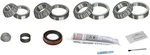 Axle Differential Bearing And Seal Kit Skf Sdk321-j. Fixed Price $116.95.