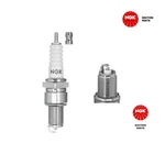 Spark Plug Ngk 6511 For Bmw, Vw, Renault, Peugeot, Jaguar, Triumph, Mitsubishi,. Fixed Price $10.66.