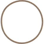 Victor Reinz Gaskets 71-14837-00 Differential Carrier Gasket. Fixed Price $33.29.