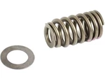 For 2010-2023 Dodge Charger Valve Spring Mopar 46372rzfp 2015 2016 2014 2011. Fixed Price $19.62.