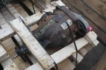 Rear Differential Carrier Assembly 2.81 Ratio Bmw 760 10-15 Active 7 Alpina. Fixed Price $299.99.