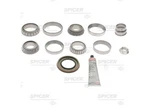 Dana 10040468 For 18-c Wrangler Jl/20-c Gladiator Jt Differential Rebuild Kit. Fixed Price $187.22.