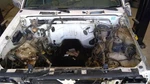 Rear Axle 4 Cylinder 2wd Manual 3.545 Ratio Fits 95-97 Nissan Pickup. Fixed Price $665.06.